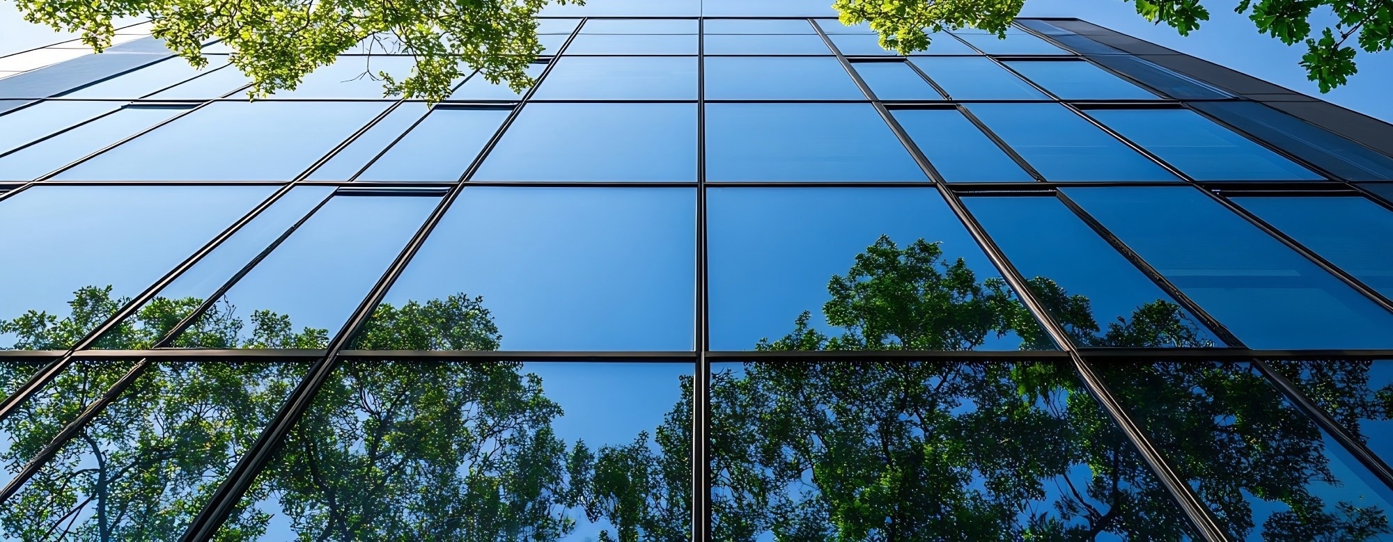 ESG in Construction: What You Should Know