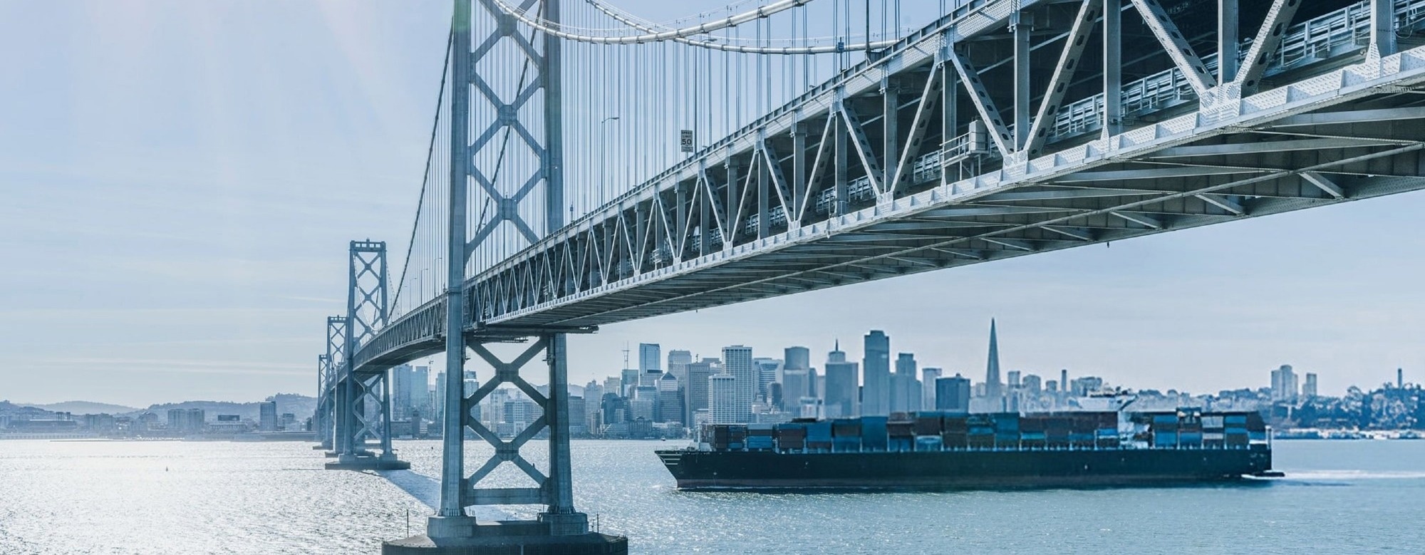 The Physics Behind Bridges That "Sing" in the Wind