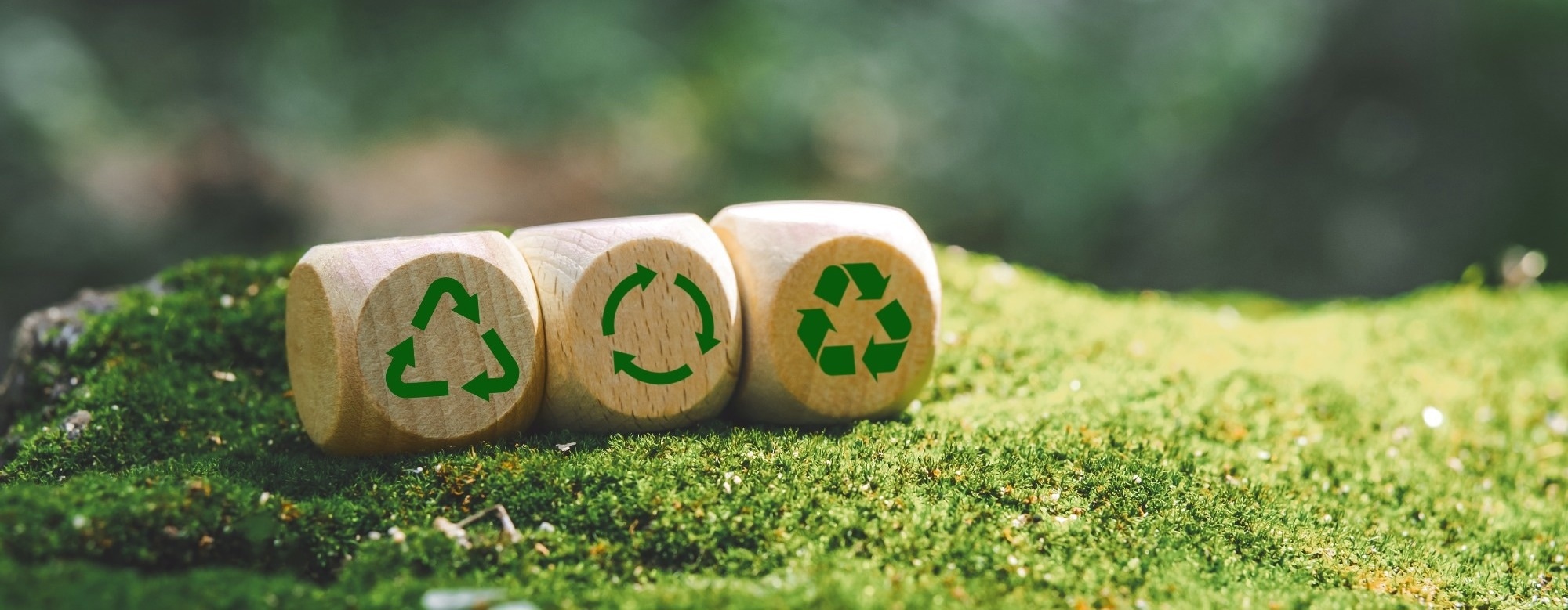 Bio-Based Building Materials Beyond Timber: How Renewable Materials Are Reshaping Construction