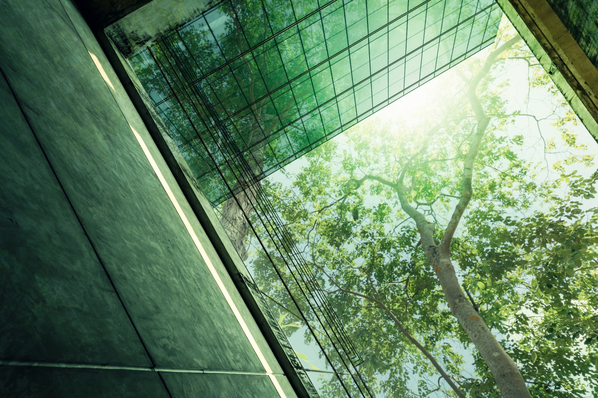 Enhancing Green Building Practice Uptake in Tanzania