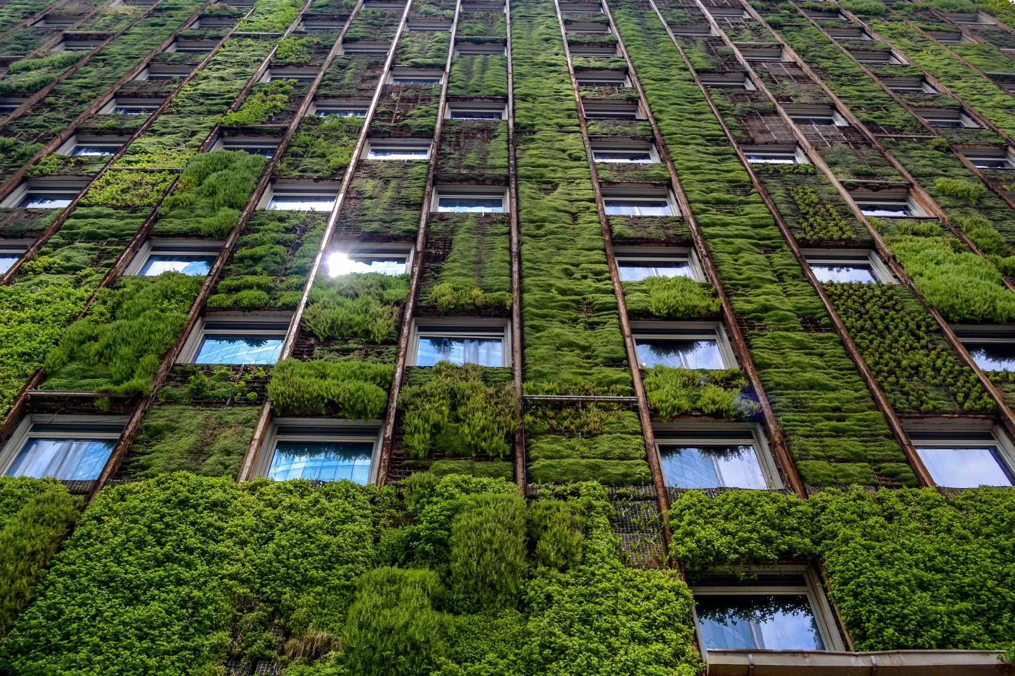 Identifying Research Gaps in BIM and Sustainability Integration