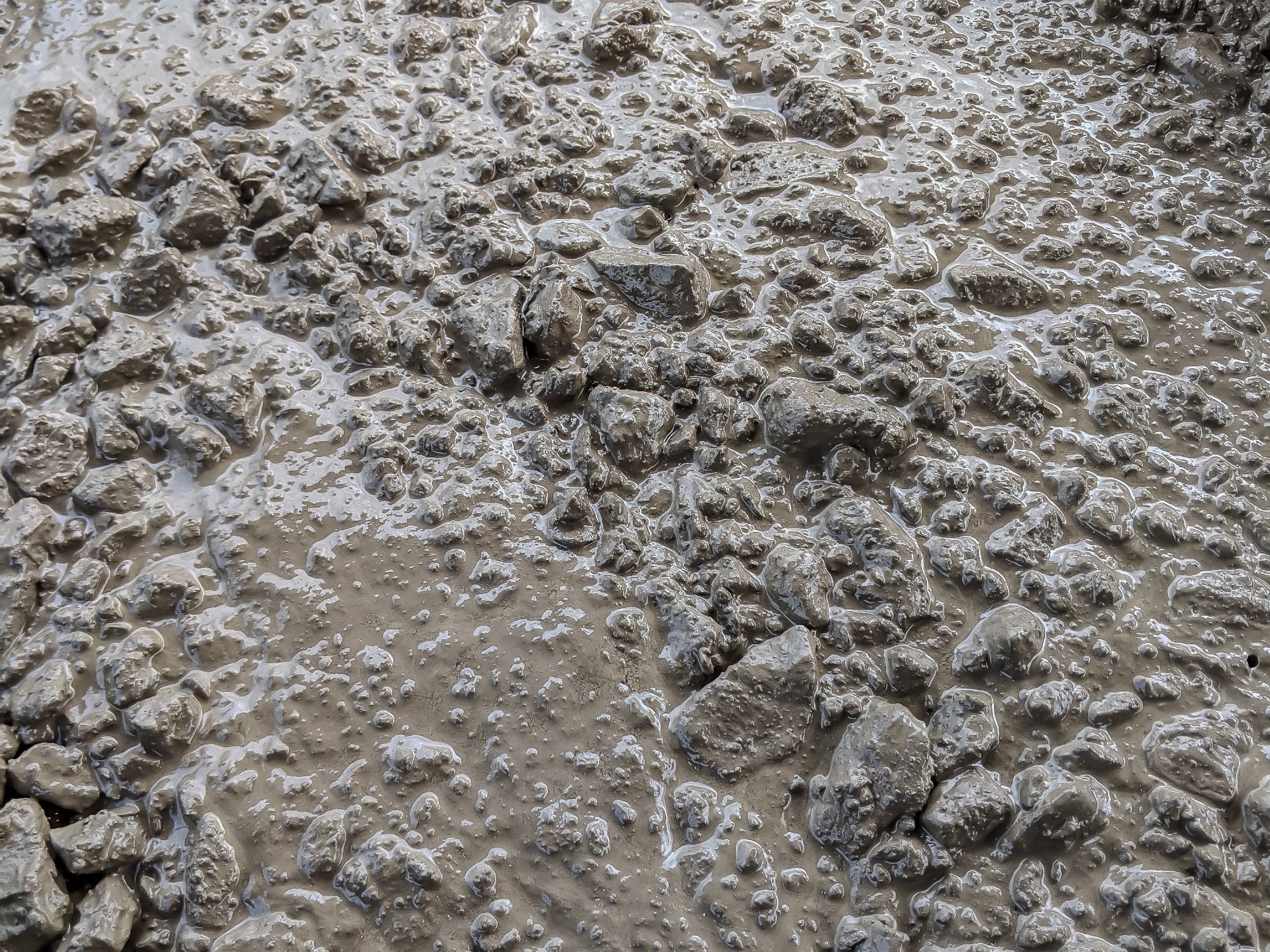 Tougher Concrete Inspired by Mollusk Shells