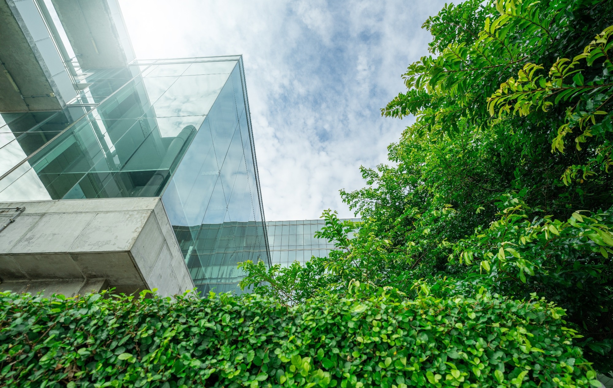 WorldGBC Leads Shift to Green Buildings