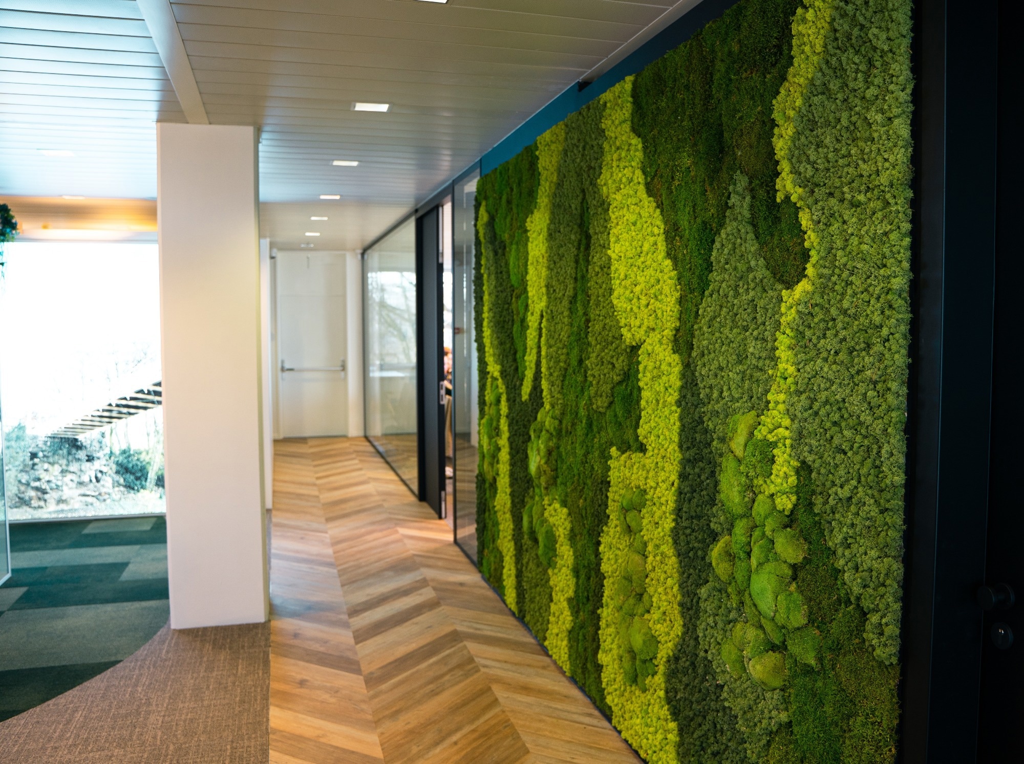 Modular Green Walls Improve Urban Building Efficiency