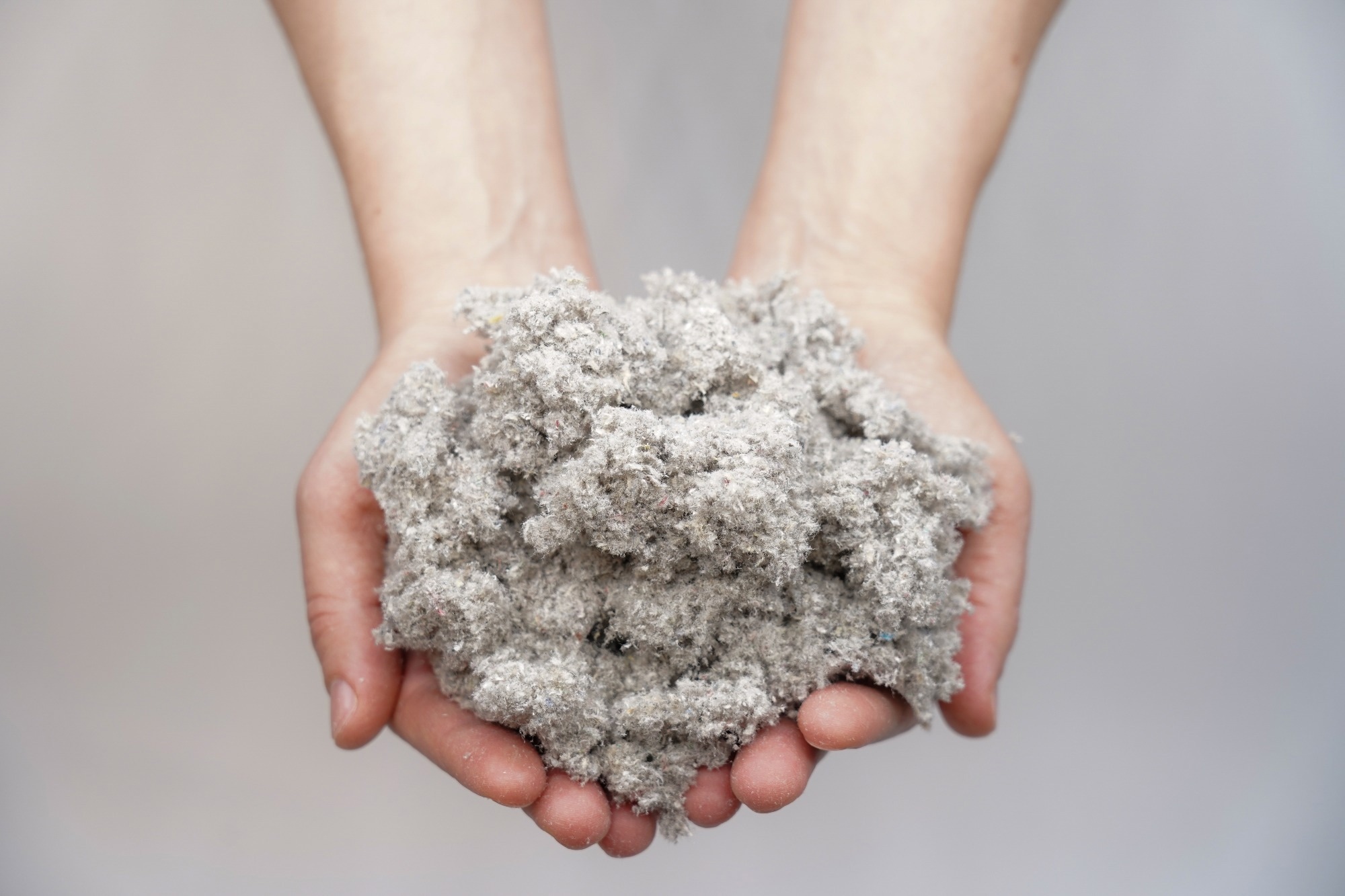Hands holding cellulose fiber.