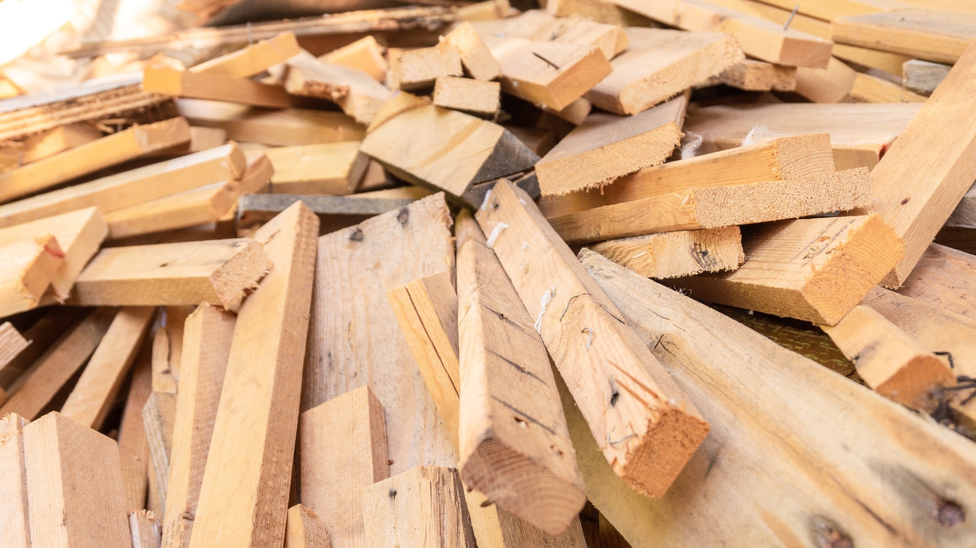Transforming Waste Wood into a High-Strength Construction Material