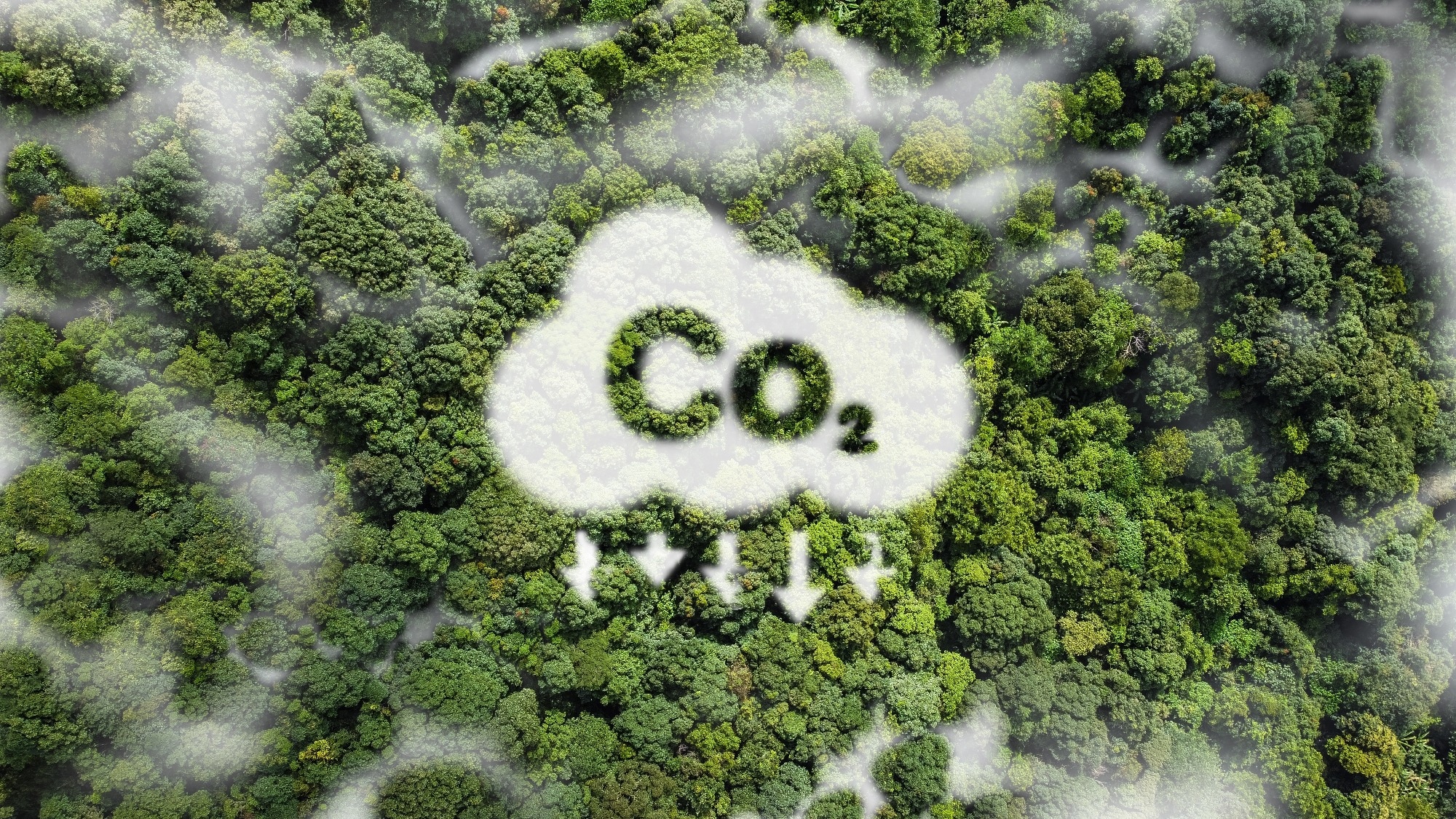 CO2 white fog, concept showing the problem of carbon dioxide and CO2 emissions for the environment, global warming, sustainable development. and green business from renewable energy.