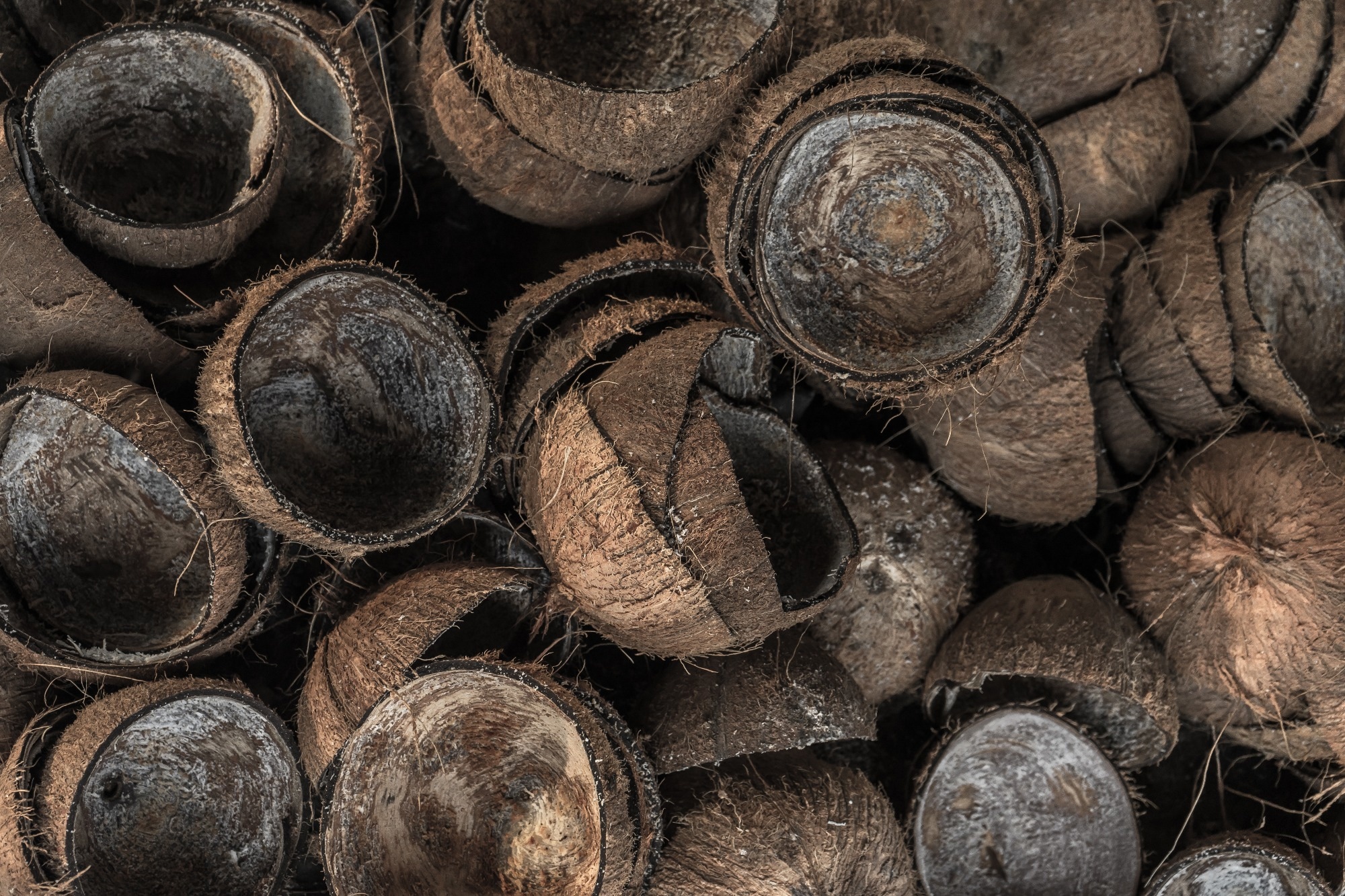 Agricultural Waste as Promising Alternative Aggregate in Concrete