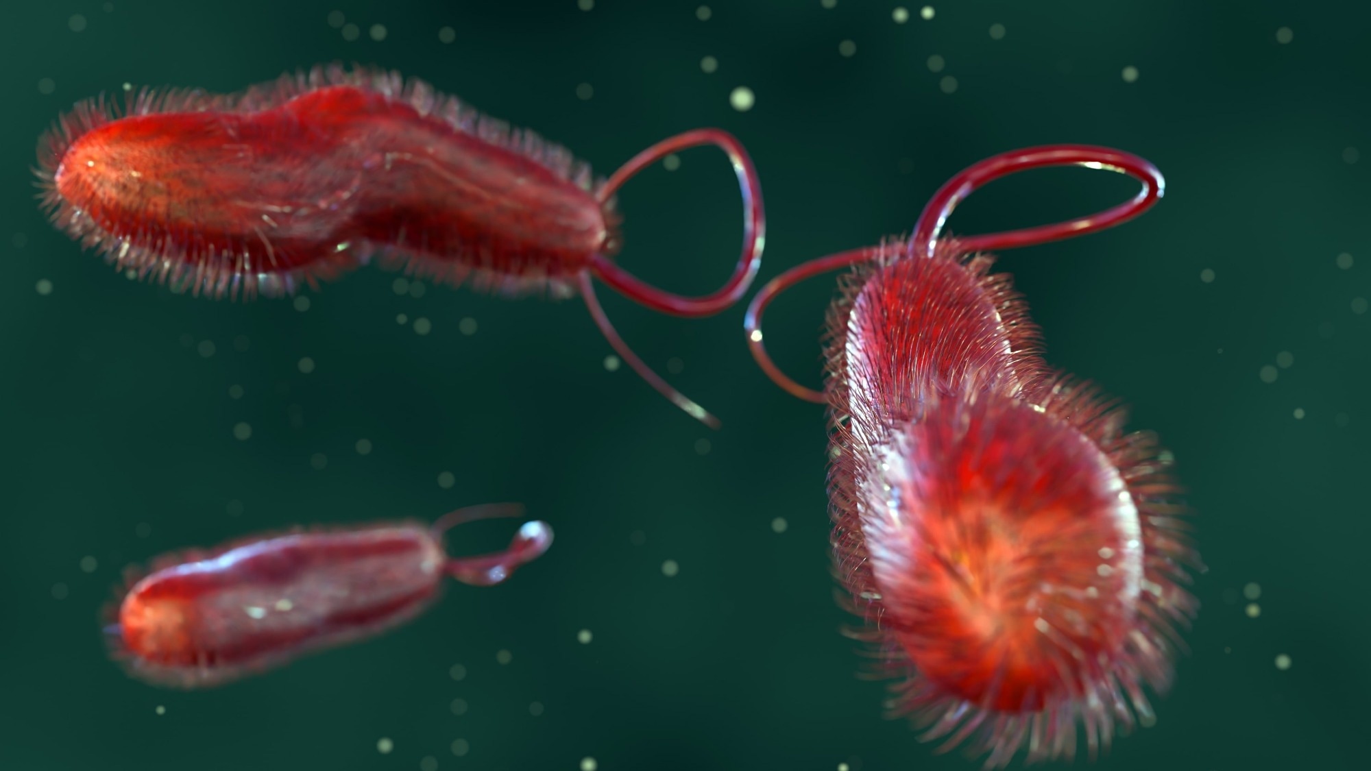 3d rendering of Shewanella, rod-shaped bacteria found.
