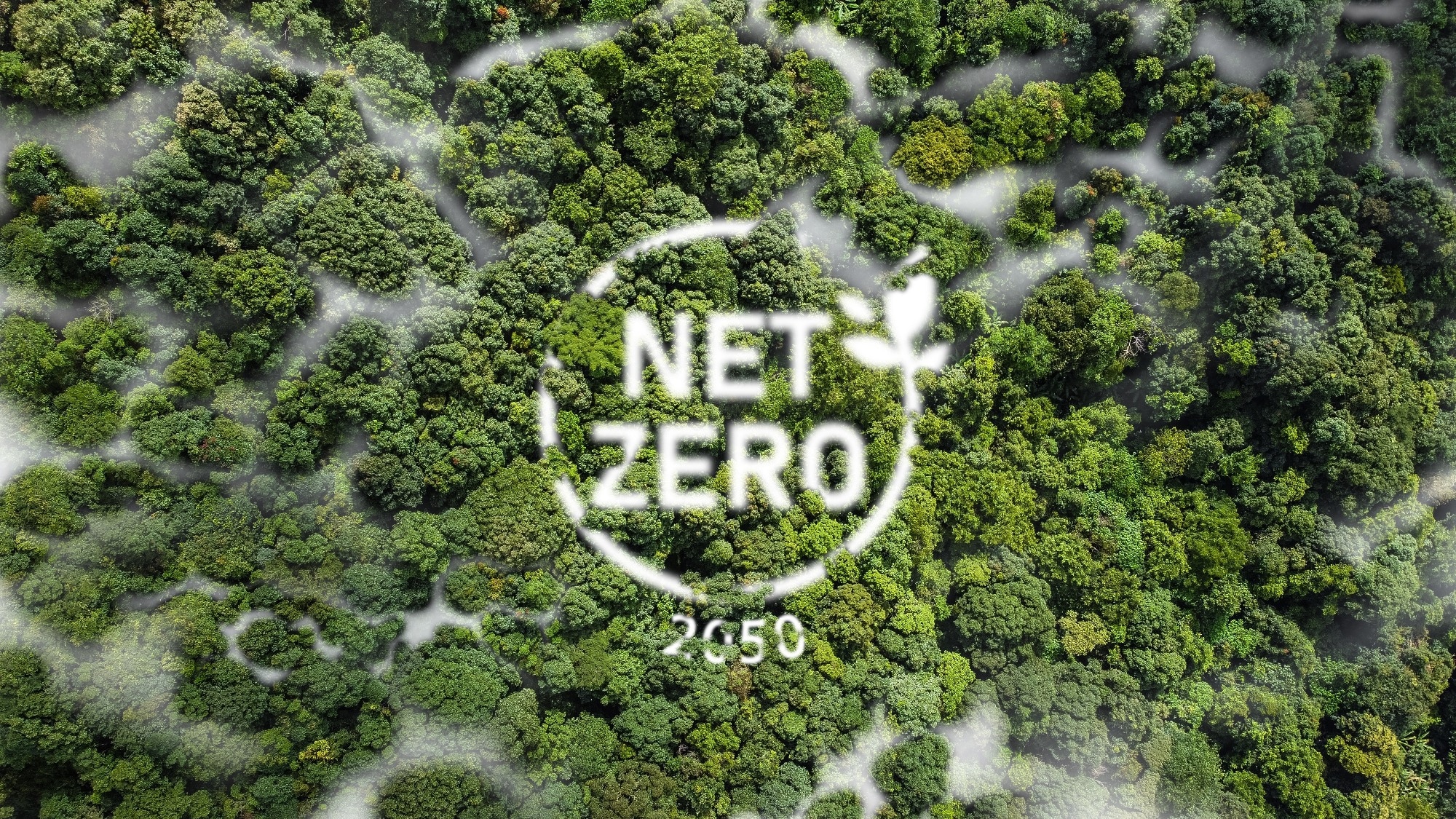 Net Zero 2050 Carbon Neutral and Net Zero Concept.
