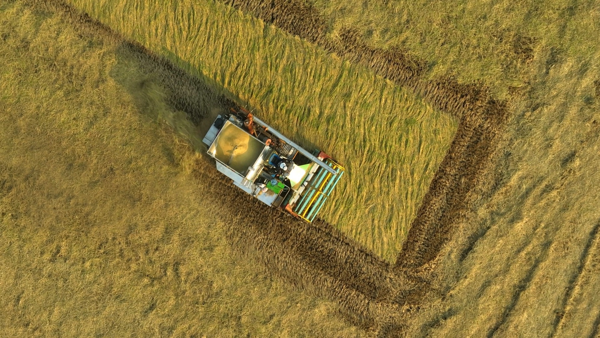 Top-down shot of a harvester in action.