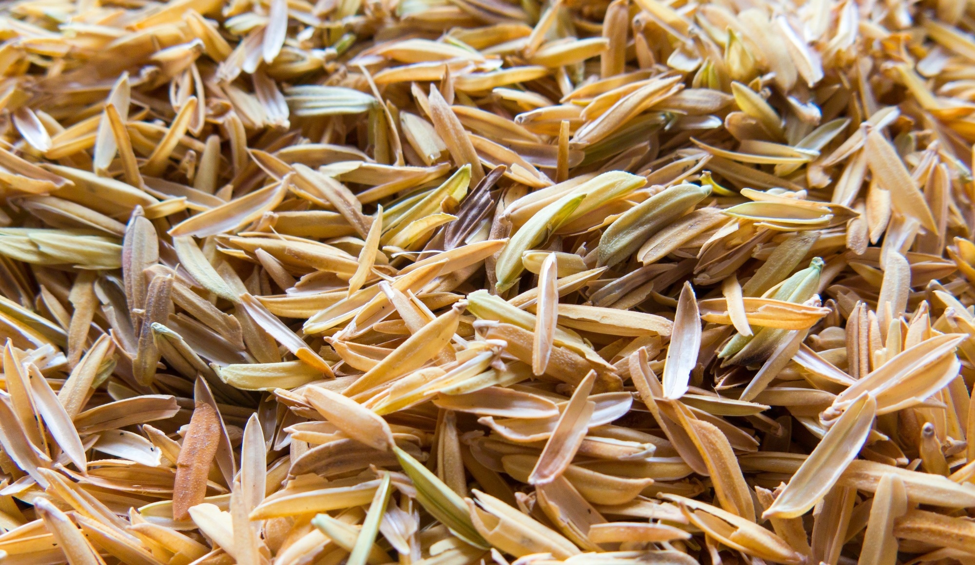 Rice husks in a pile.