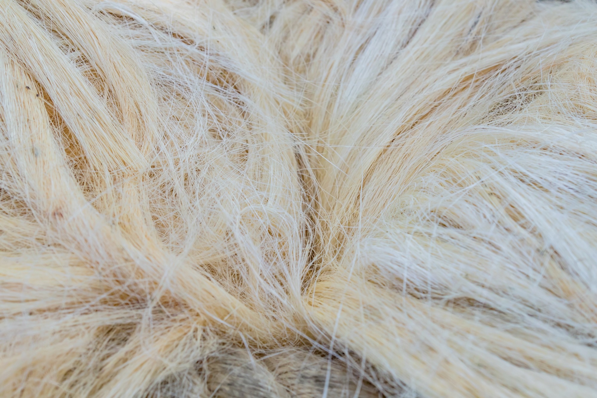 Sisal fiber texture abstract background.