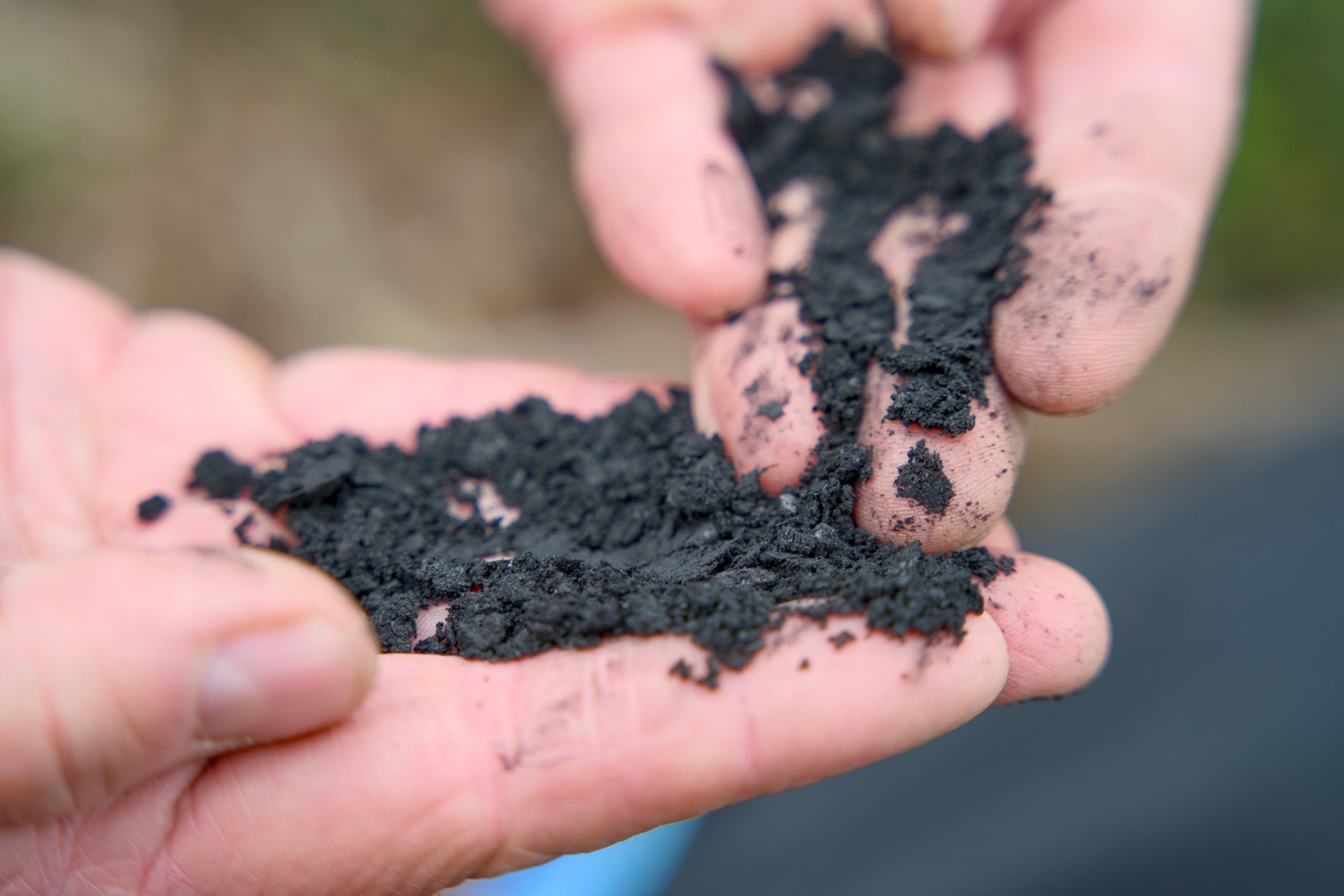 Close-up of biochar.