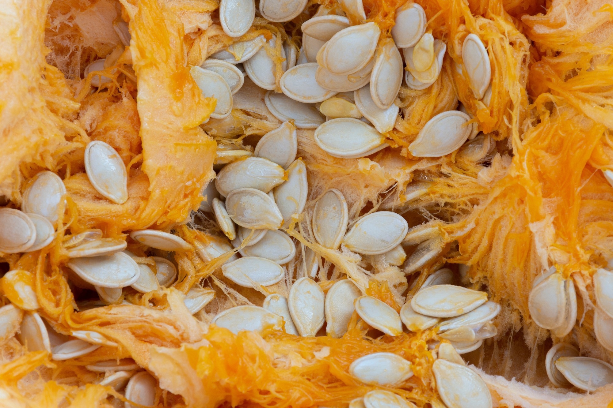 Image of the inside of a carved pumpkin, including a close up shot of the pumpkin seeds.