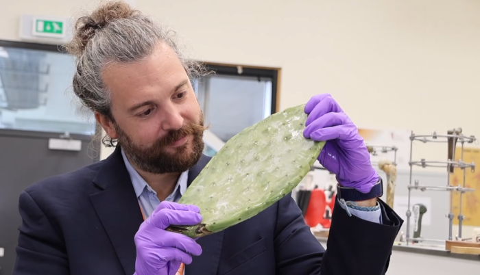 Prickly Pears Show Promise as the Building Materials of Tomorrow
