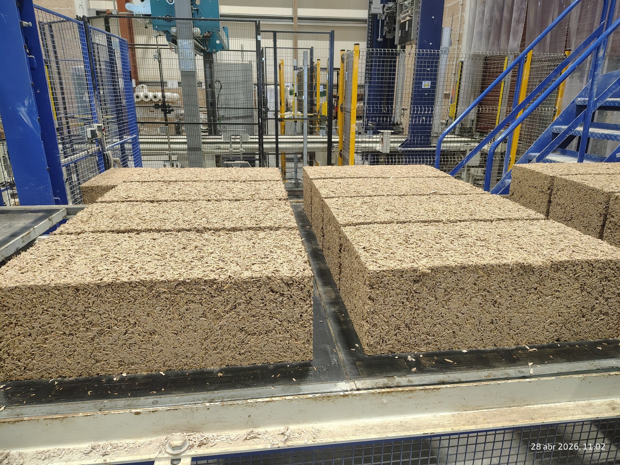 Circular Hemp Solutions Reinvent Europe’s Construction Industry