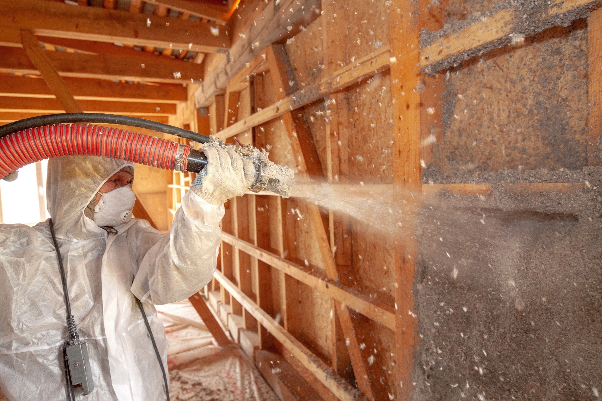 Bio-Based Building Materials Ranked for Europe’s Low-Carbon Construction Future