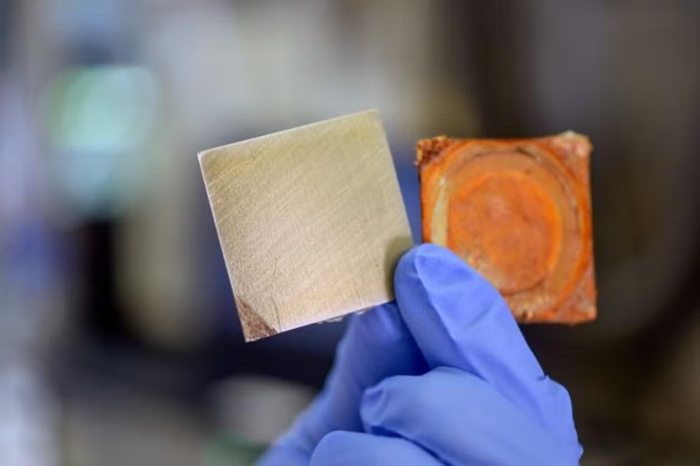 Self-Repairing Rust Prevention Conquers Corrosion