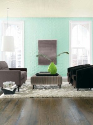 2010 Color Trend Palettes Introduced by Valspar Paint