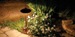 OLP’s Landscape Lighting Enhances Beauty and Safety of Homes