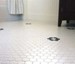 Carpet World Announces Name Change to CW Floors