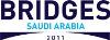 Middle East Announces US $400 Billion for Bridge Development and Maintenance Projects