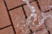 VAST Composite Permeable Pavers Win ED+C Readers' Choice Award