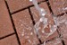 Construction Industry Honors VAST Enterprises for Composite Permeable Pavers