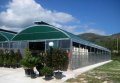 Renolit Ondex Introduces Corrugated Sheets for Roofing Applications