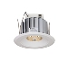 American Fluorescent Introduces Ascent LED Downlight Module