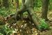 Mosites Construction Builds New Laurel Highlands Hiking Trail Bridge