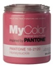Grab-and-Go Paint Collection for Do-It-Yourselfers and Designers