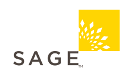 Immanuel Bible Church Installs SageGlass Dynamic Glass for Better Daylight Control