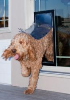 R + M Introduces Amerimax New Horizon Patio Doors