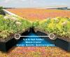 James Greenhouse Becomes Latest Distributor for LiveRoof