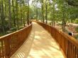 York Bridge Concepts Completes Construction of Timber Pedestrian Bridge for Wellstar