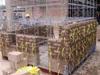 New Construction System to Build Affordable Earthquake Resistant Houses