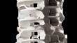 Computers Enable Exciting New Organic Forms in Architecture
