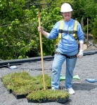 GRHC Honors UC Landscape Architect as International Green Roof Leader