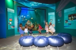 Newly Renovated Conservancy of Southwest Florida Nature Center Opened