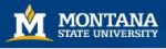 Passive Solar Wall Installed Atop MSU's New Jabs Hall