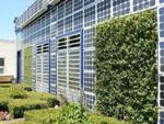 New Model Helps Assess Energy Saving Associated with Vegetal Façades Installations