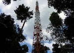 Lofty Climate Research Tower Being Constructed in the Amazon Rainforest