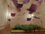 Walls Comprising Plants Hold Promise for Acoustic Insulation