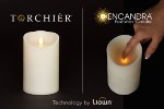 Liown to Increase Marketplace Availability of Premium Lighting Technologies with New Partnership
