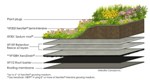 Minimalist Green Roof System Offers a Custom Design Option