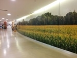 Biovation’s BioSurf Wall Panels a Huge Draw for the Corn Palace