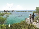 National Aquarium to Construct Sanctuary for Atlantic Bottlenose Dolphins in North America