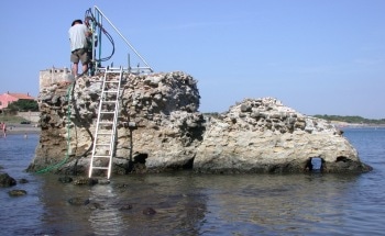 Study Finds Corrosive Seawater Promotes Growth of Rare Minerals